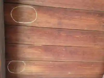 興聖寺（興聖寶林禅寺）の歴史