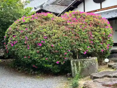 大本山誕生院  のその他建物