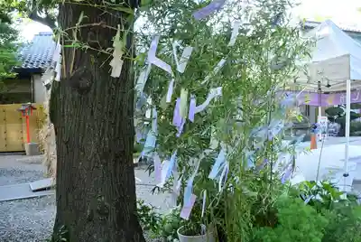 蛇窪神社(東京都)