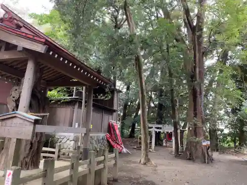 鶴嶺八幡宮の自然