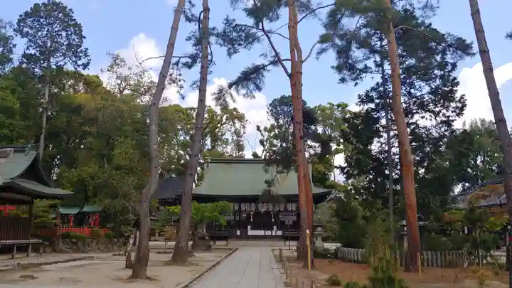 今宮神社の自然