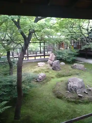 建仁寺（建仁禅寺）の庭園