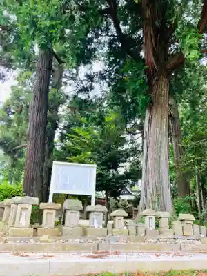 山倉大神(千葉県)