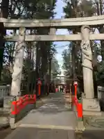 馬橋稲荷神社の鳥居