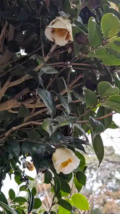 惠心院(京都府)