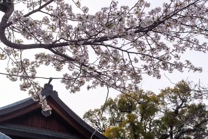 三嶋大社(静岡県)