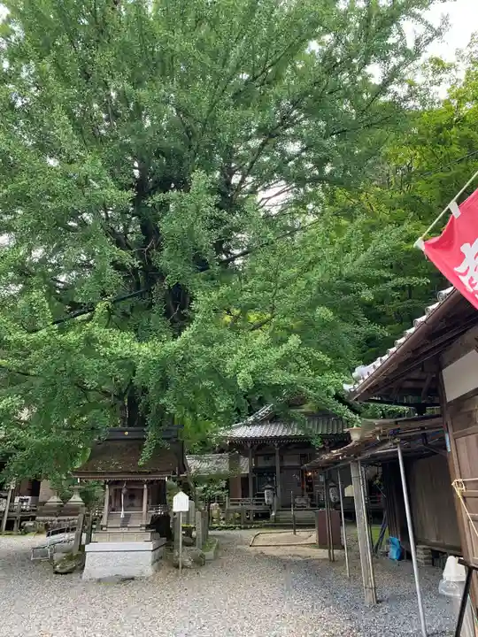 正法寺(滋賀県)
