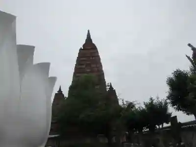 久留米分院(福岡県)