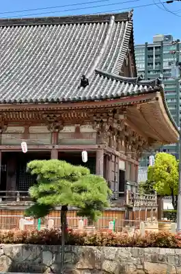 四天王寺(大阪府)