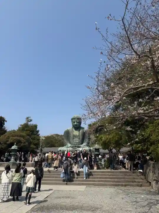 高徳院の{uncategorized: "未分類", other: "その他", undefined: "問題あり", building: "その他建物", grave: "お墓", sacred_gate: "鳥居", guardian: "狛犬", statue: "像", buddha: "仏像", history: "歴史", nature: "自然", garden: "庭園", animal: "動物", pagoda: "塔", temizu: "手水舎", mountain_gate: "山門・神門", sanctuary: "本殿・本堂", subordinate: "末社・摂社", art: "芸術", scenery: "景色", jizo: "地蔵", ema: "絵馬", goshuin: "御朱印", omikuji: "おみくじ", items: "授与品その他", amulet: "お守り", goshuincho: "御朱印帳", eats: "食事", festival: "お祭り", votive_dance: "神楽", shichigosan: "七五三参", wedding: "結婚式", experience: "体験その他", initially: "初詣", around: "周辺", anti_infection: "感染症対策"}
