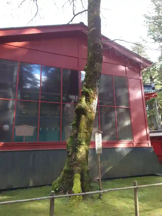 日光二荒山神社(栃木県)