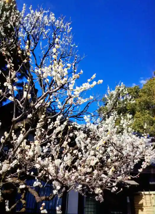 福蔵院(東京都)