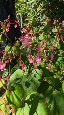 長法寺(京都府)