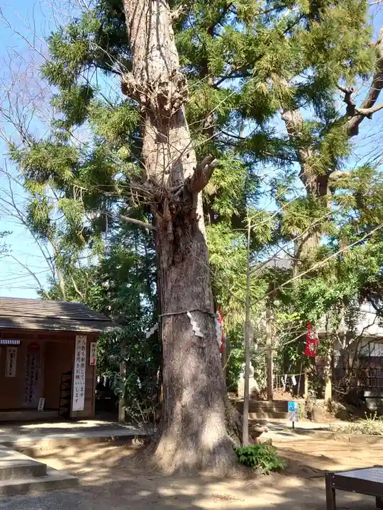 麻賀多神社の自然