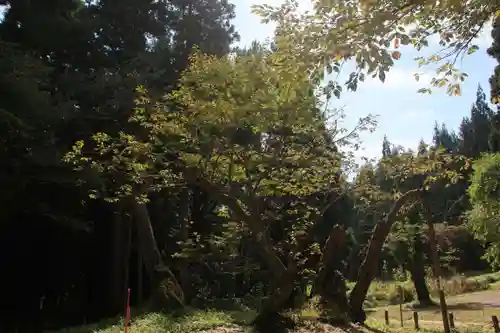 磐椅神社の自然