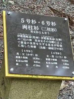 河口浅間神社の歴史