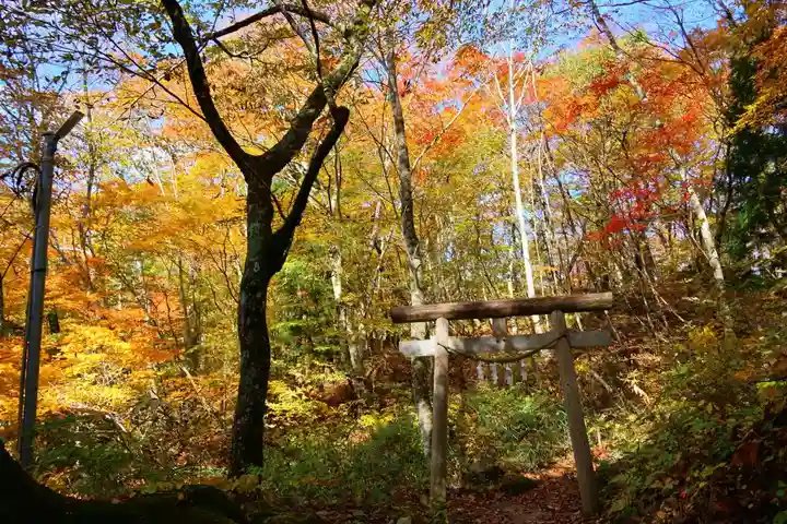 隠津島神社の鳥居