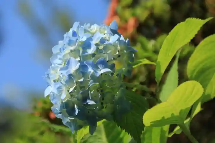豊景神社の自然