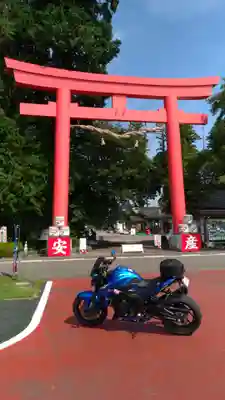 安住神社の鳥居