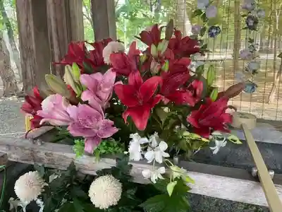 彌彦神社　(伊夜日子神社)の手水舎