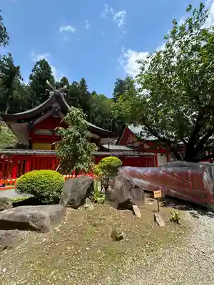 金櫻神社(山梨県)
