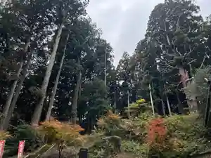 大宮温泉神社(栃木県)(2022年11月21日(月) 08時11分36秒投稿)