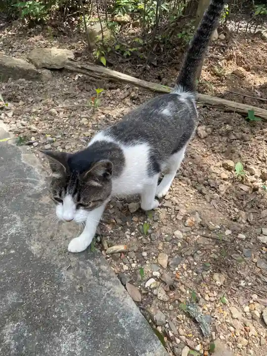 玉野御嶽神社(愛知県)