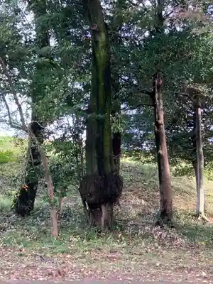 大明神社(愛知県)
