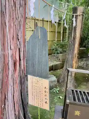 くまくま神社(導きの社 熊野町熊野神社)の歴史