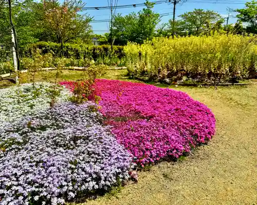 龍田大社(奈良県)