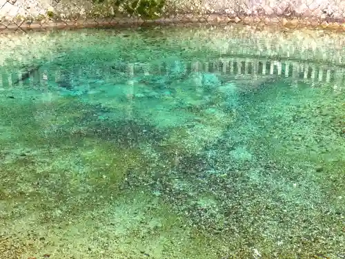 嚴島神社(山口県)