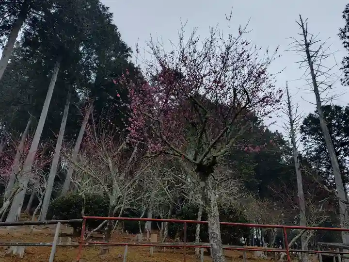 石山寺(滋賀県)