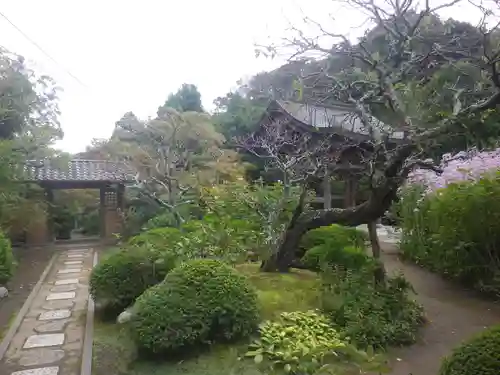 海蔵寺の庭園