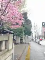 花園神社(東京都)