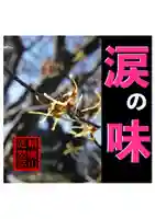 耕田院(山形県)