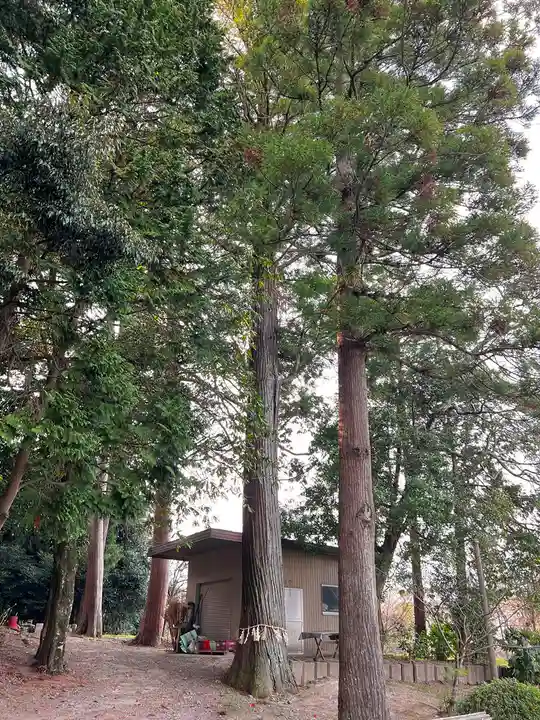 立志神社の自然