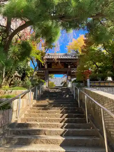 法輪寺の山門