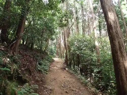 太平山神社の自然