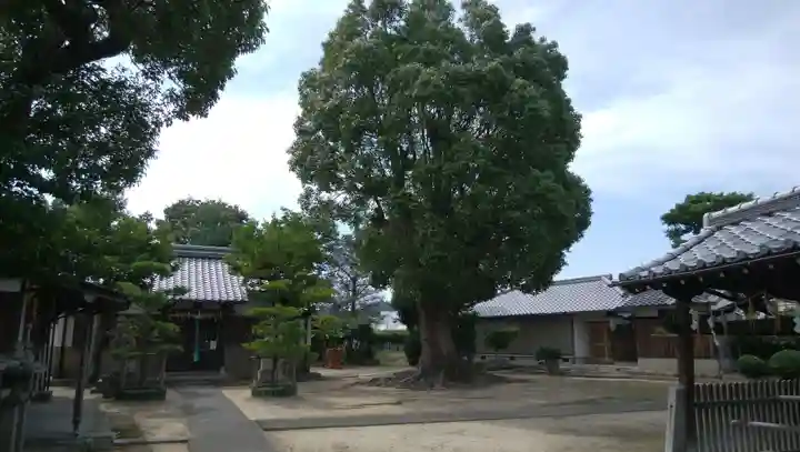 素盞嗚尊神社の自然