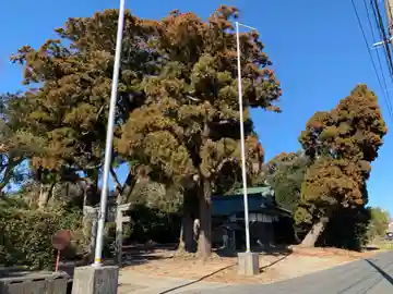 稲荷神社(千葉県)