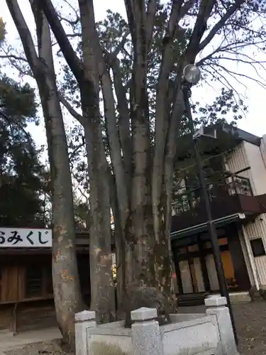 大國魂神社のその他建物