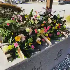 豊景神社の手水