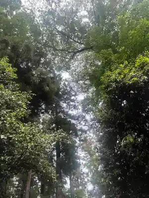 佐野赤城神社(栃木県)