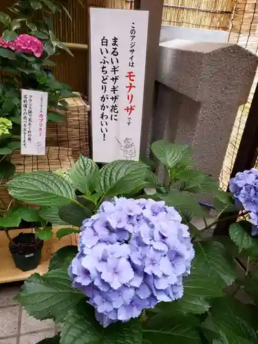 十番稲荷神社の自然