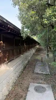 橿原神宮(奈良県)