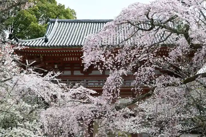 醍醐寺(京都府)