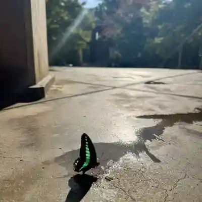 伊勢の国 四天王寺(三重県)