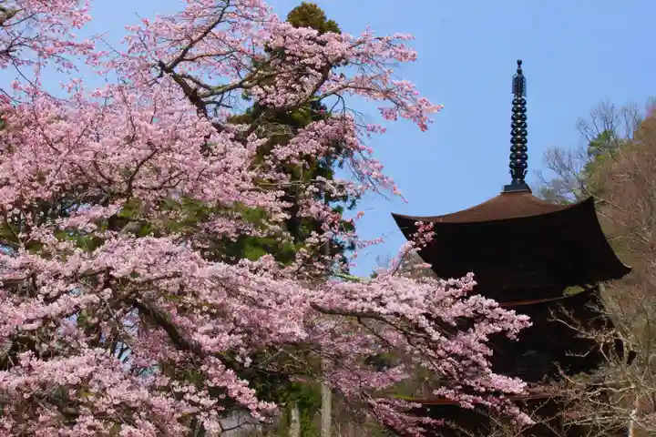 国宝 大法寺の自然