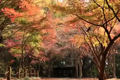 平林寺(埼玉県)