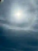 雀神社(茨城県)